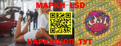 стафф Новодвинск